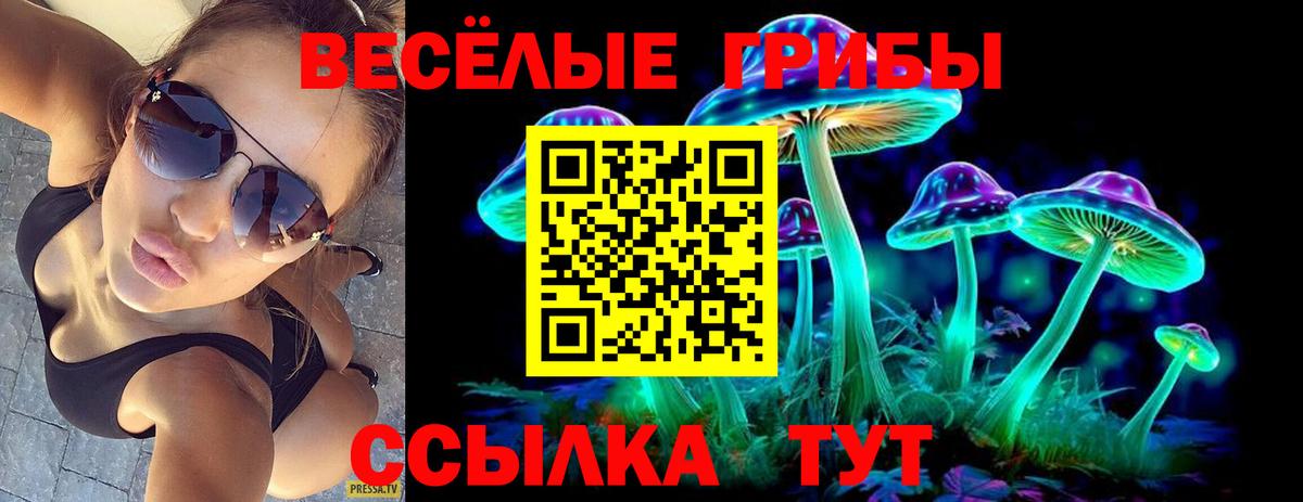 Новороссийск  Галлюциногенные грибы Psilocybe  Вход с VPN 